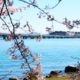 春の琵琶湖おかっぱりにおすすめのルアー7選