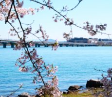 春の琵琶湖おかっぱりにおすすめのルアー7選